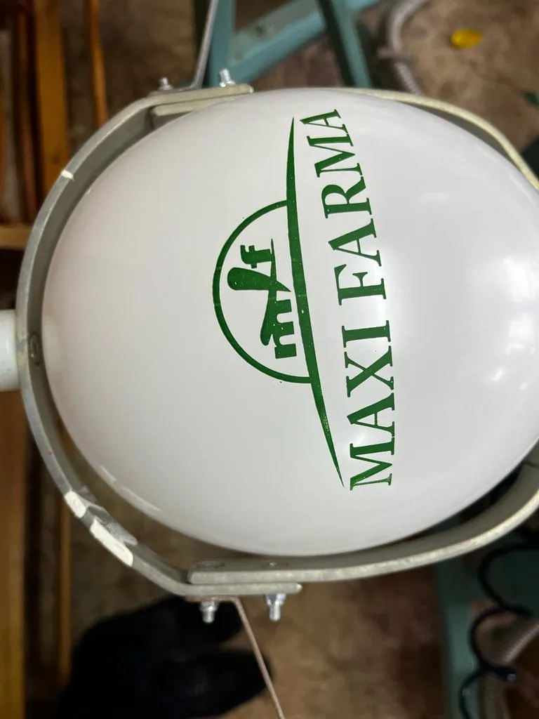 Custom printed advertising balloon – example 13